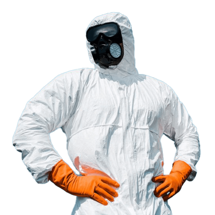 Team protecting a Pest Free Property in Chennai for residential and commercial clients